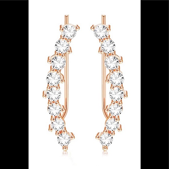 🌹Beautiful 🌹Crystal Climber Earrings 
NWT🏷 - Picture 2 of 12